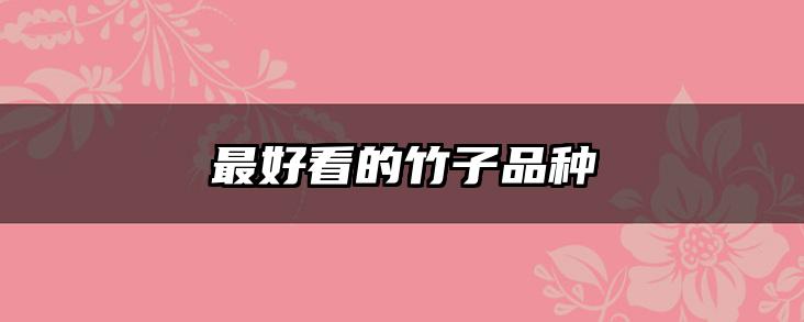 最好看的竹子品种