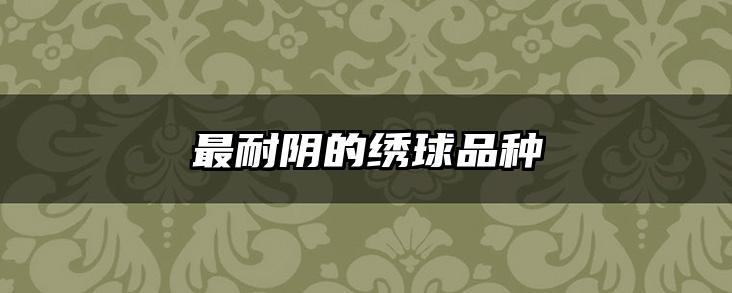 最耐阴的绣球品种
