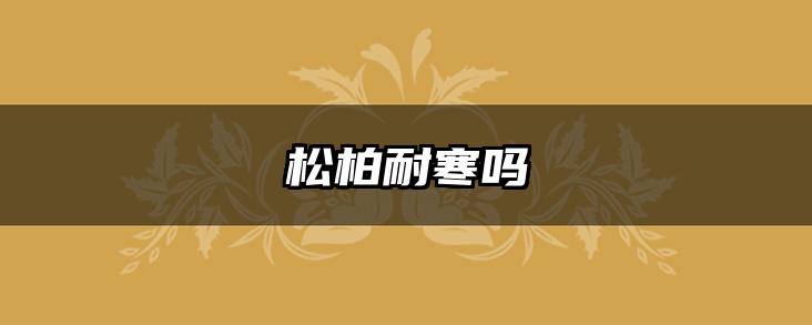 松柏耐寒吗