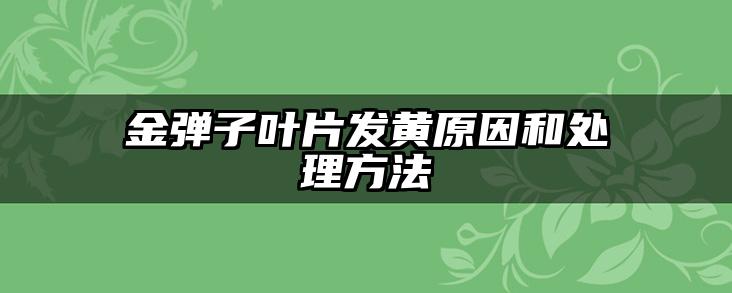 金弹子叶片发黄原因和处理方法