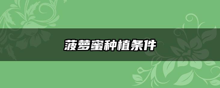 菠萝蜜种植条件