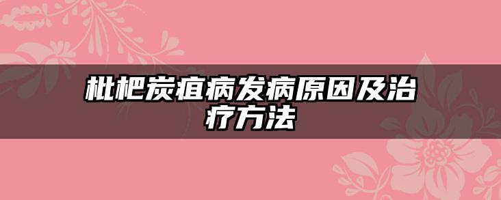 枇杷炭疽病发病原因及治疗方法