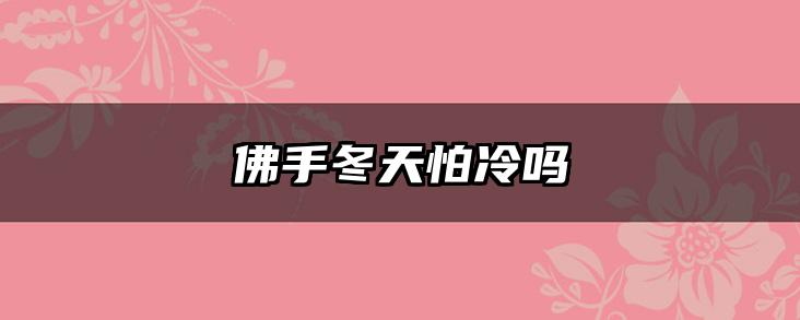 佛手冬天怕冷吗