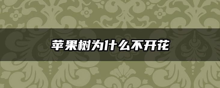 苹果树为什么不开花