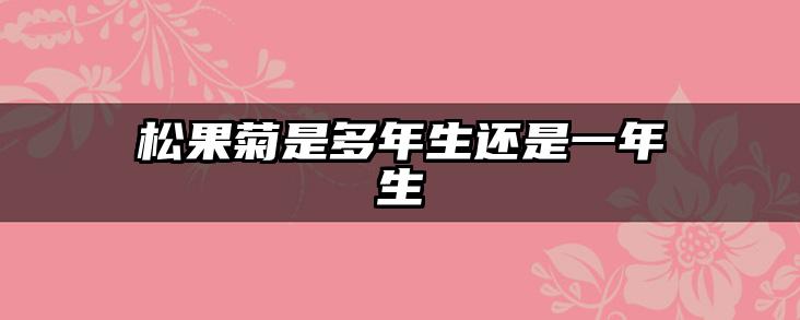 松果菊是多年生还是一年生