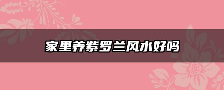 家里养紫罗兰风水好吗