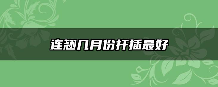 连翘几月份扦插最好