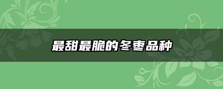 最甜最脆的冬枣品种