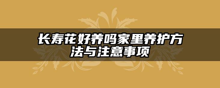 长寿花好养吗家里养护方法与注意事项