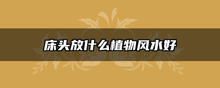 床头放什么植物风水好
