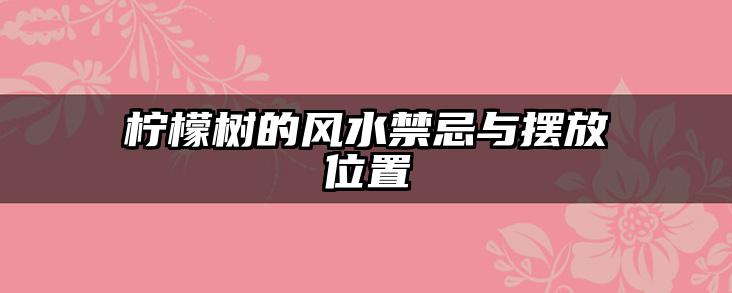 柠檬树的风水禁忌与摆放位置