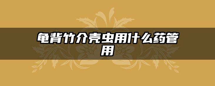 龟背竹介壳虫用什么药管用
