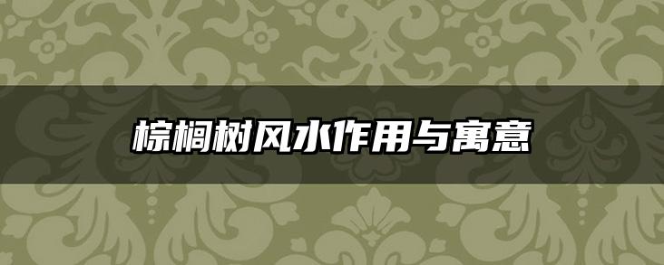 棕榈树风水作用与寓意