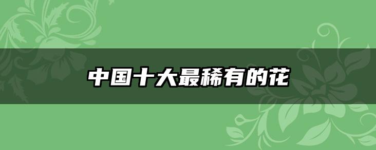 中国十大最稀有的花