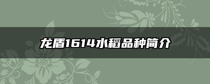 龙盾1614水稻品种简介