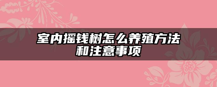 室内摇钱树怎么养殖方法和注意事项