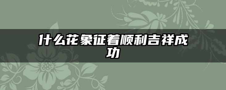什么花象征着顺利吉祥成功
