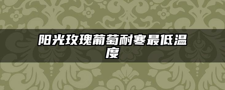 阳光玫瑰葡萄耐寒最低温度