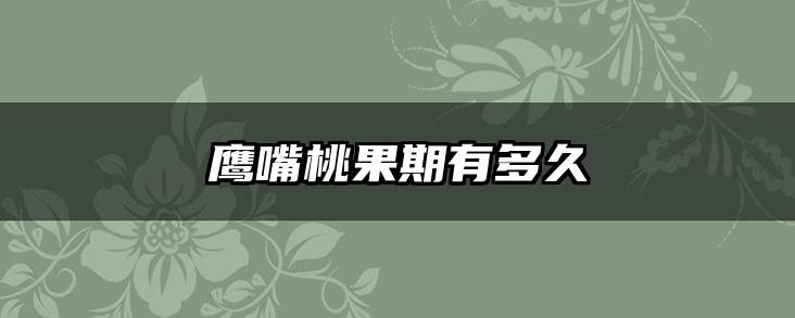 鹰嘴桃果期有多久