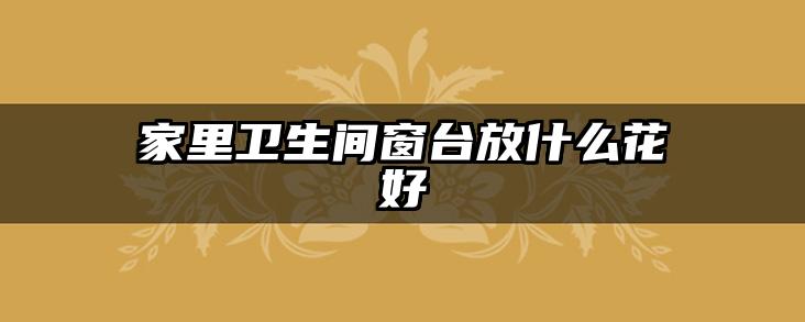 家里卫生间窗台放什么花好