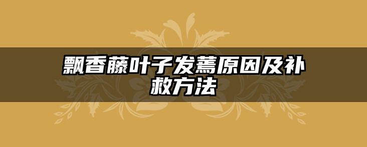 飘香藤叶子发蔫原因及补救方法