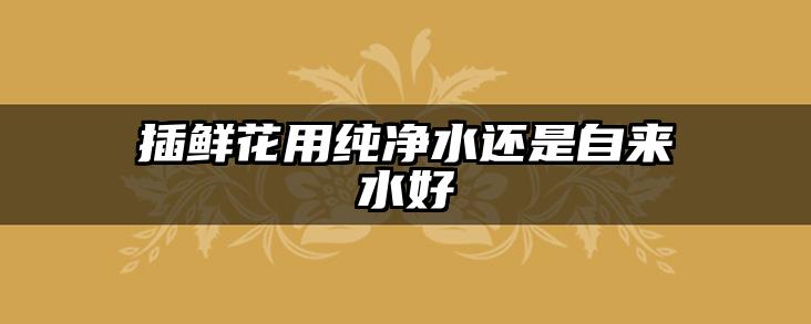 插鲜花用纯净水还是自来水好