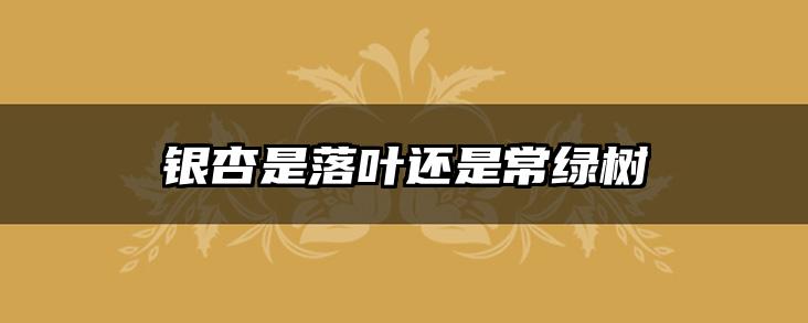 银杏是落叶还是常绿树