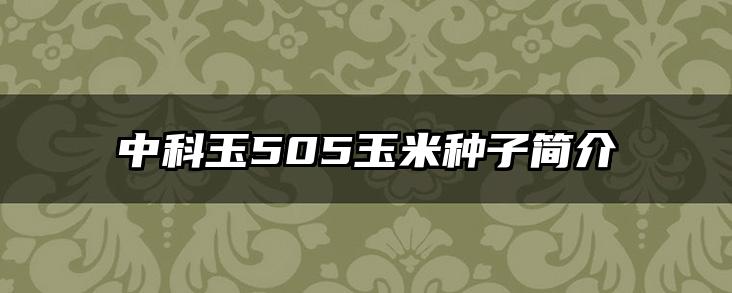 中科玉505玉米种子简介