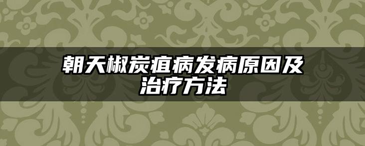 朝天椒炭疽病发病原因及治疗方法