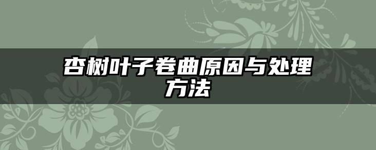杏树叶子卷曲原因与处理方法
