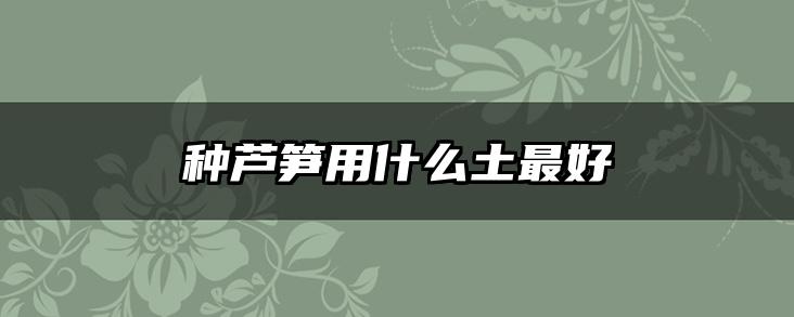 种芦笋用什么土最好