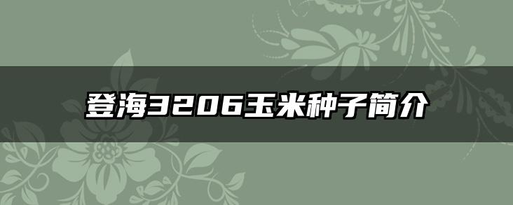 登海3206玉米种子简介