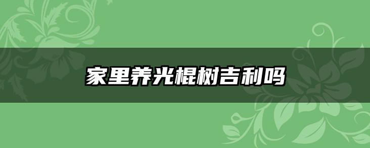 家里养光棍树吉利吗