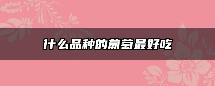什么品种的葡萄最好吃