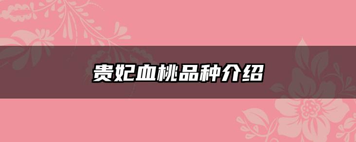 贵妃血桃品种介绍