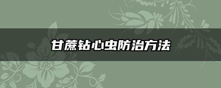 甘蔗钻心虫防治方法