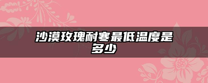 沙漠玫瑰耐寒最低温度是多少
