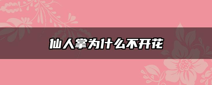 仙人掌为什么不开花