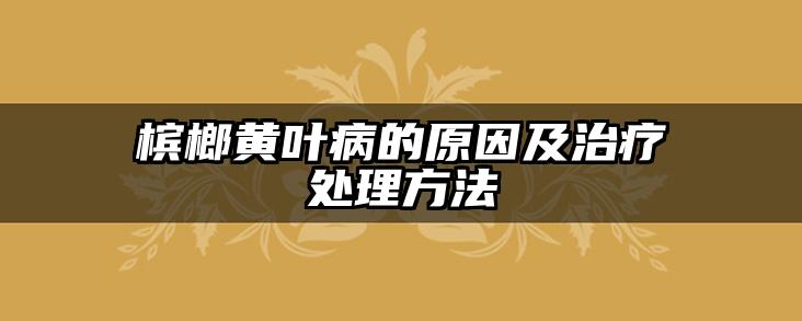 槟榔黄叶病的原因及治疗处理方法
