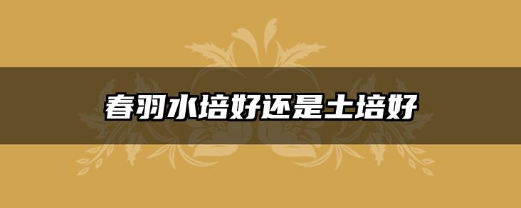 春羽水培好还是土培好