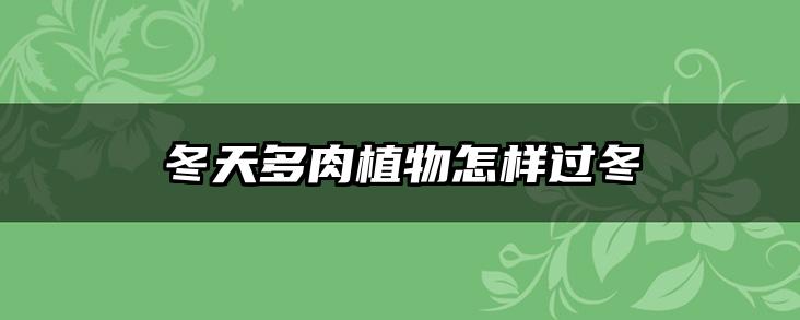 冬天多肉植物怎样过冬