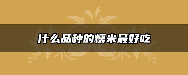什么品种的糯米最好吃