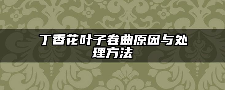 丁香花叶子卷曲原因与处理方法