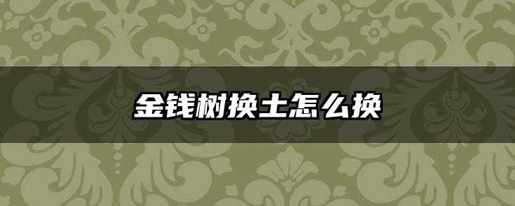 金钱树换土怎么换