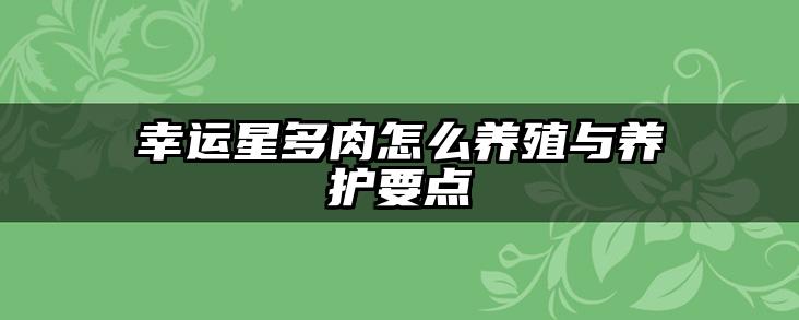 幸运星多肉怎么养殖与养护要点