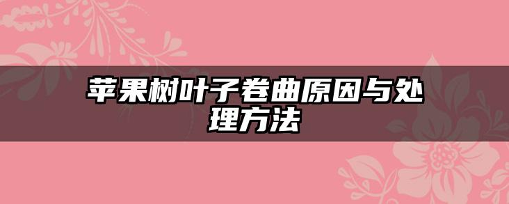 苹果树叶子卷曲原因与处理方法