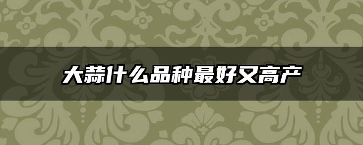大蒜什么品种最好又高产