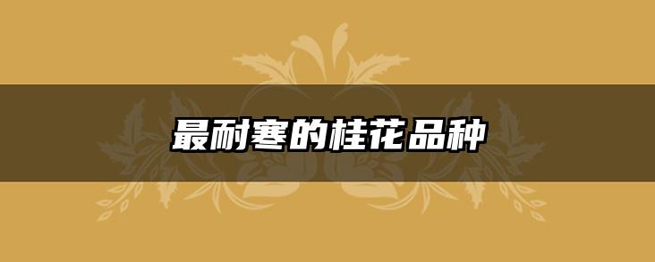 最耐寒的桂花品种