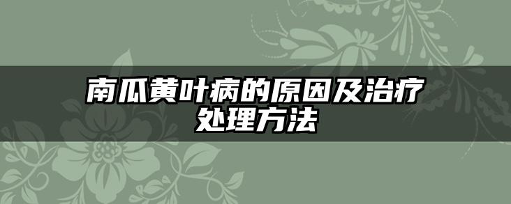 南瓜黄叶病的原因及治疗处理方法