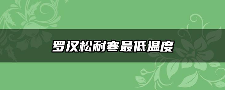 罗汉松耐寒最低温度